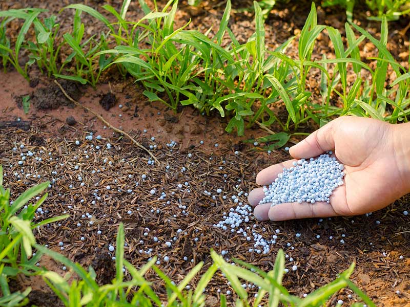 کودهای کشاورزی