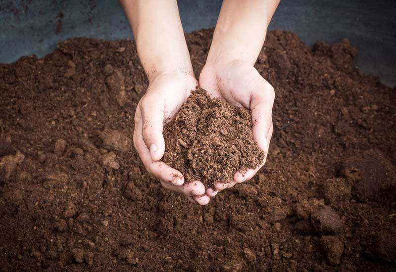 خاک مناسب برای کاشت سیر