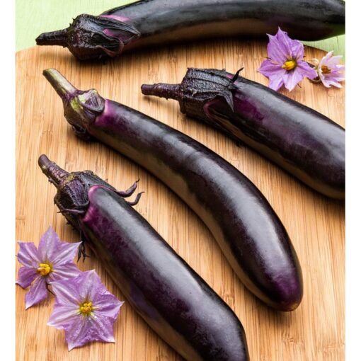بذر بادمجان قلمی ژاپنی