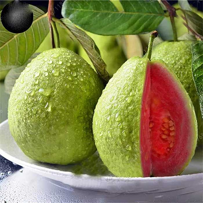 گواوا 