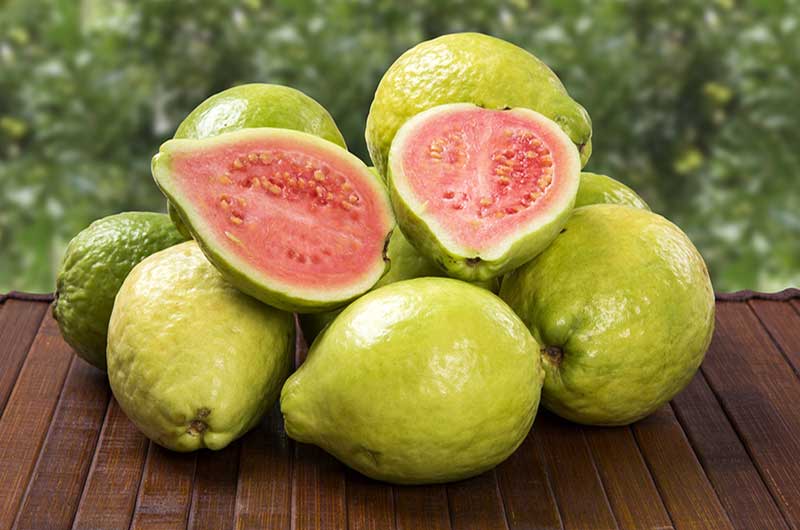 کوددهی گواوا