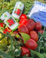 بذر گوجه فرنگی باراکا