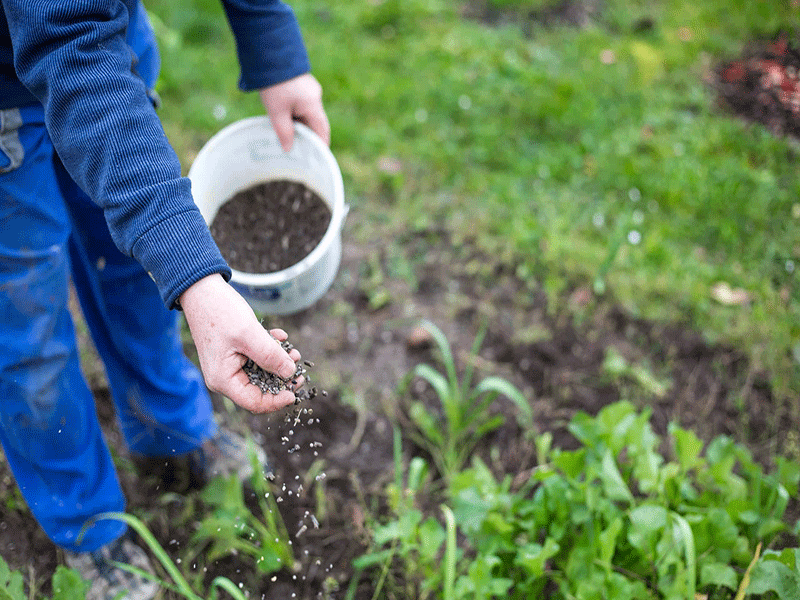 افزودن مواد مغذی برای اصلاح خاک باغچه
