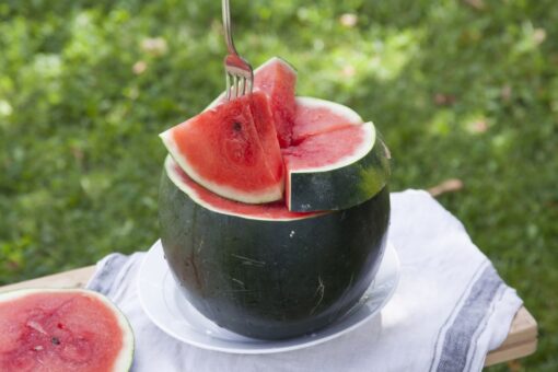 بذر هندوانه هلیا