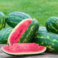بذر هندوانه کریمسون