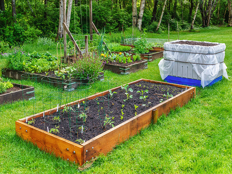 بهبود زهکشی خاک