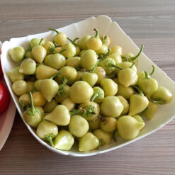 بذر فلفل مرمری