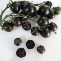 بذر گوجه سیاه