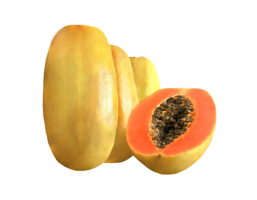 بذر پاپایا مکزیکی