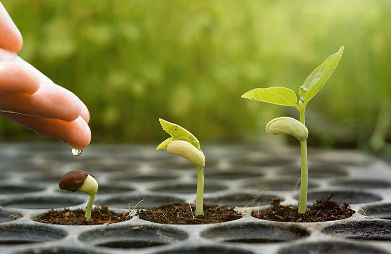 آمینو اسیدها
