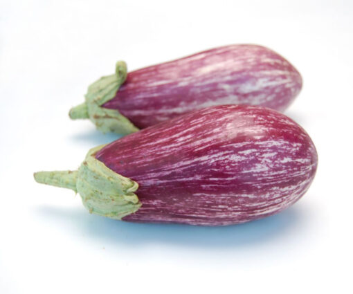 بذر بادمجان چیتی