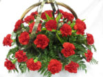 بذر گل میخک رز