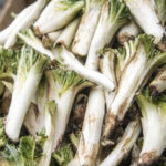 بذر کنگر خوراکی اصیل دنایی بسته 10 عددی