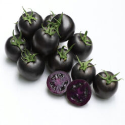 بذر گوجه فرنگی مشکی تو مشکی هیبرید 3840 بسته 5 عددی