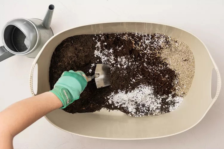مخلوط کاشت بذر