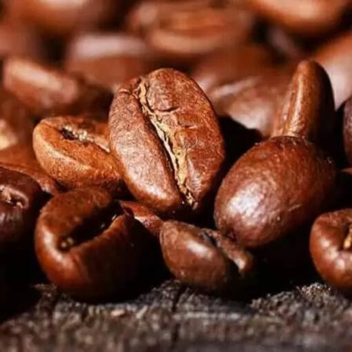 بذر قهوه عربیکا بسته 5 عددی