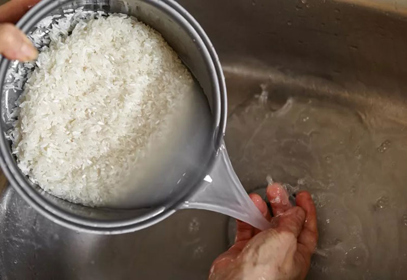 آب برنج برای گیاهان