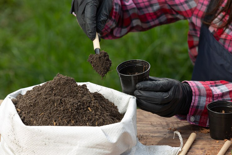 بهبود کیفیت خاک