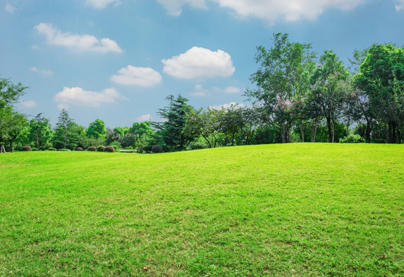 لکه های قهوه ای چمن