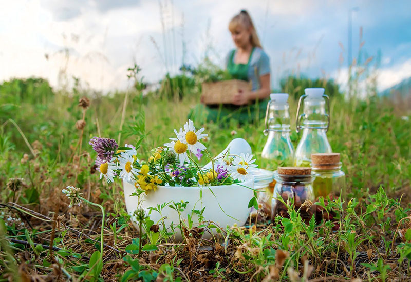 پرورش گیاهان دارویی در باغچه