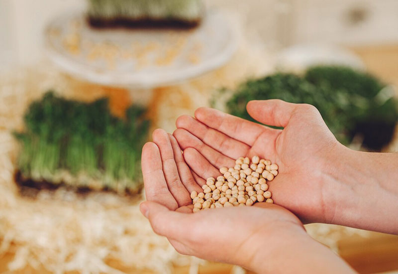 نگهداری بذر در یخچال
