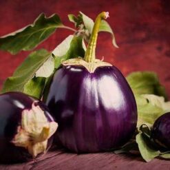 بذر بادمجان دلمه ای