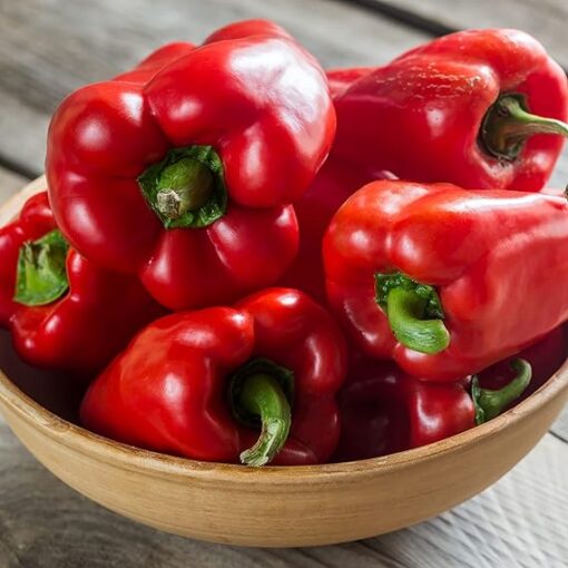 بذر فلفل دلمه ای قرمز