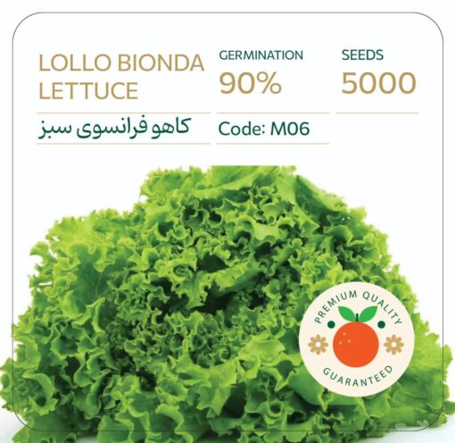 بذر کاهو فرانسوی سبز
