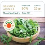 بذر راکولا سلواتیکا