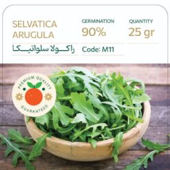 بذر راکولا سلواتیکا