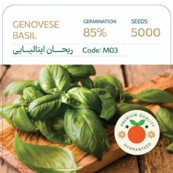 بذر ریحان ایتالیایی گنووس