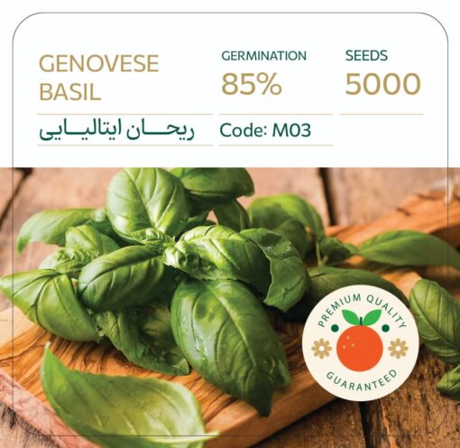 بذر ریحان ایتالیایی گنووس