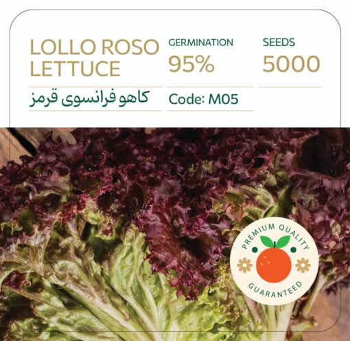 بذر کاهو فرانسوی قرمز