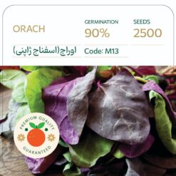 بذر اسفناج ژاپنی