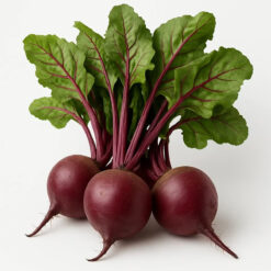 بذر چغندر لبویی هیبرید