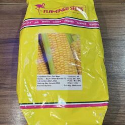 بذر ذرت براتلا