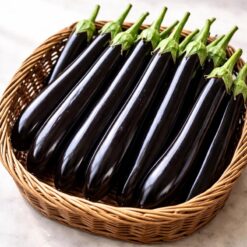 بذر بادمجان قلمی مازند