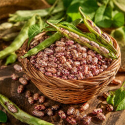 بذر لوبیا چیتی